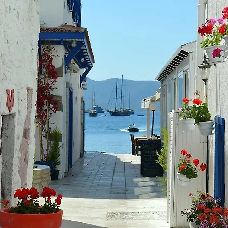 Panzió Gozde Deniz Boutique 3*