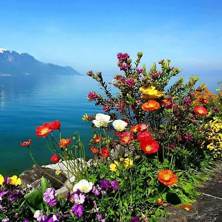 Oda ve Kahvaltı Gozde Deniz Boutique 3*